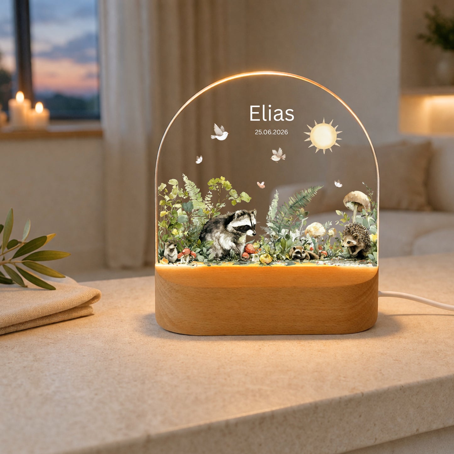 Nachtlichter Waschbär, Igel