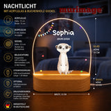 Nachtlichter Bundle 3 Tiere mit Wimpel