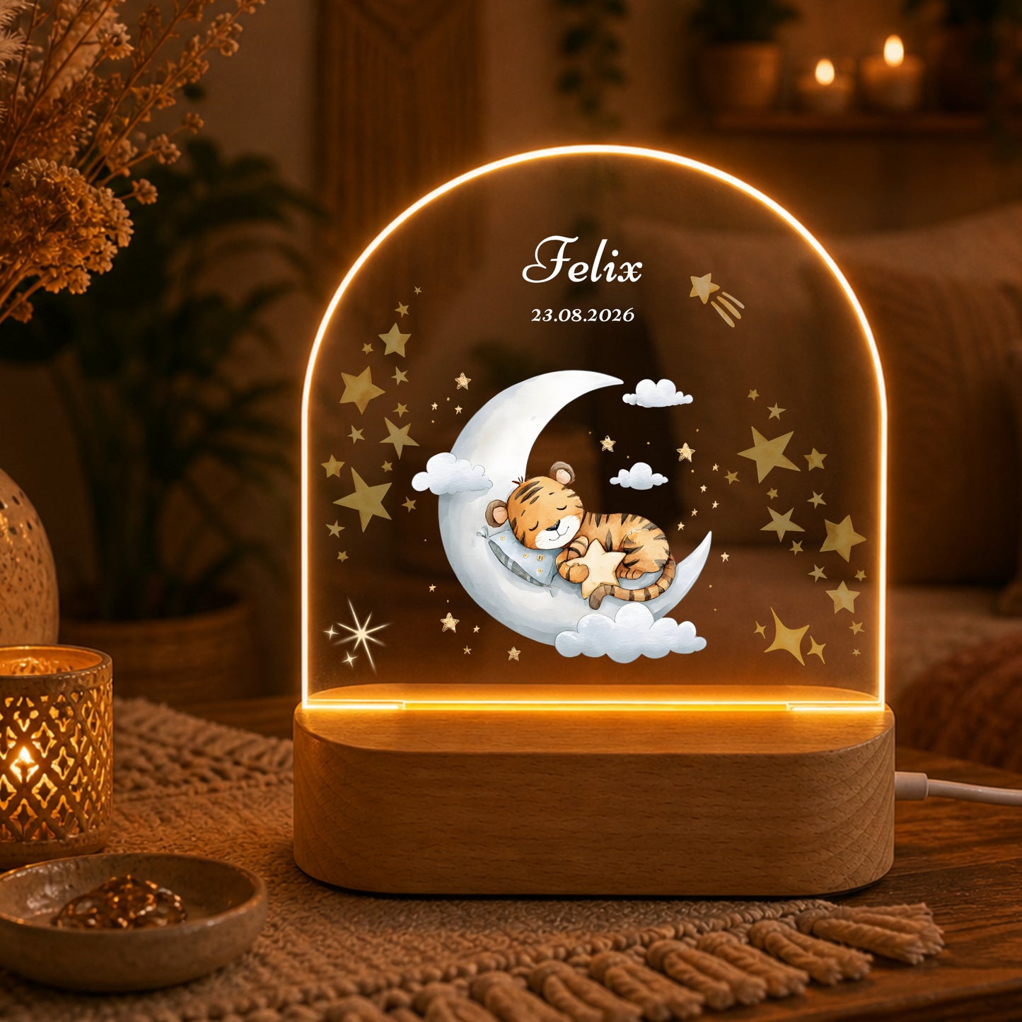 Nachtlichter Bundle 1 schlafende Tiere